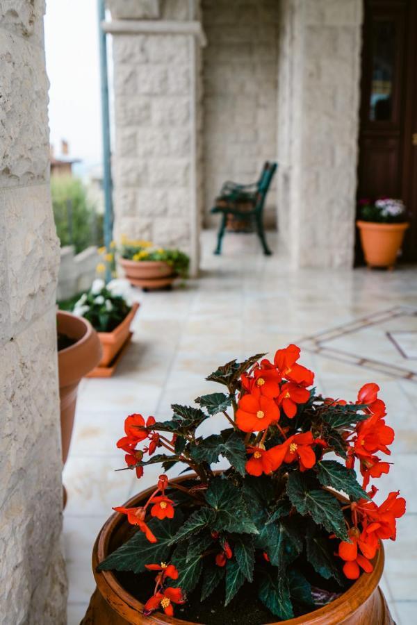 Veria Panorama Luxury Suite With Garden. Buitenkant foto